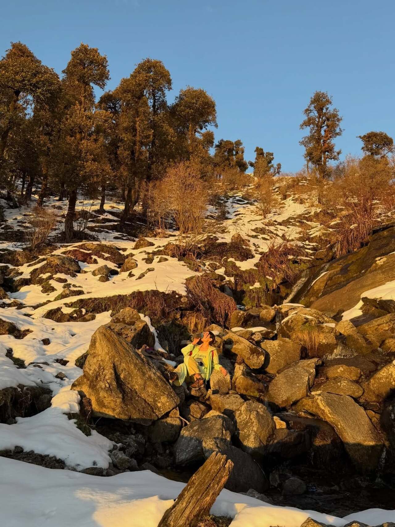 The movie is a sequel to the 2019 drama &ldquo;Pati Patni Aur Woh" featuring Kartik Aaryan, Bhumi Pednekkar, and Ananya Panday, which is a retelling of the 1978 film of the same name, starring Sanjeev Kumar, Vidya Sinha, and Ranjeeta Kaur as the leads